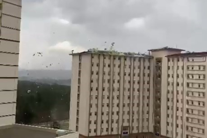 Uludağ Üniversitesi'ndeki yurdun çatısı uçtu
