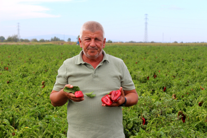 Çiftçi üç yıldır zarar ediyor, yeni şartlar iflasa zorluyor