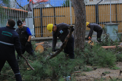 Osmangazi Belediyesi’nden lodos operasyonu