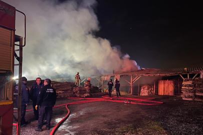 Bursa'da ahşap palet fabrikasındaki yangın