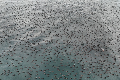 İstanbul Boğazı’nda ilginç manzara