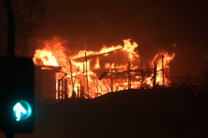 Şili’deki orman yangınlarında 18 kişi öldü