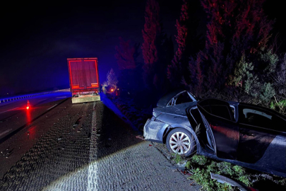 Köpeklere çarptıktan sonra olanlar oldu; 8 yaralı