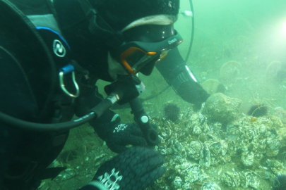 Prof. Dr. Sarı'dan Marmara'ya keşif dalışı çağrısı