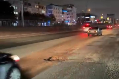 Mudanya Yolu sürücülere kabus yaşatıyor