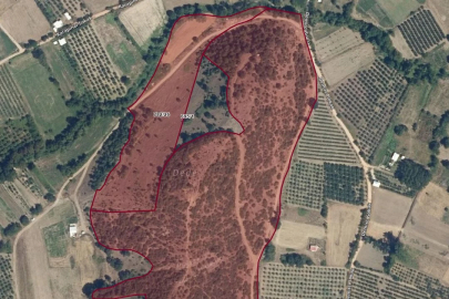 Kestel’de kaçak kazı yapılan alan arkeolojik sit ilan edildi