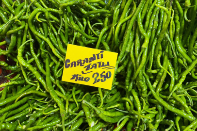 Seraları su basınca sivri biber ve salatalığın ateşi yükseldi