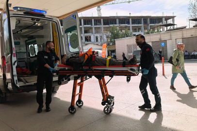 Ceviz ağacından düşen vatandaş ağır yaralandı