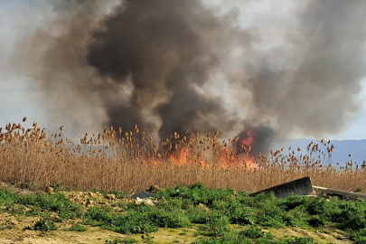 İznik'teki sazlık yangını rüzgarla birlikte büyüyor