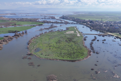 Yağışlar Uluabat Gölü'nün seviyesini yükseltti, tarlalar sular altında kaldı