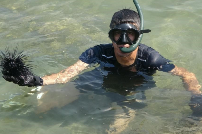 Marmara'nın denizkestanesi avcılığına açılmasına tepki