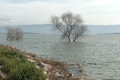 Bursa'nın Leylek Köyü göl suyunun yükselmesiyle zarar gördü