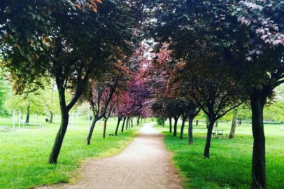 Hamitler Mesire Alanı 3 ay kapalı kalacak