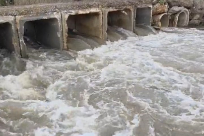 Kuruyan dere coştu, İznik Gölü’ne umut oldu