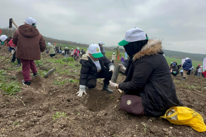 BUÜ'de 2 yıl önce yanan 80 hektarlık alan ağaçlandırıldı