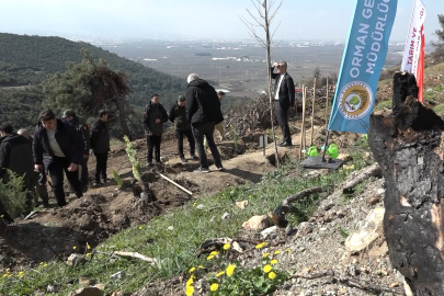 Bursa'da yanan ormanlar 8 ayda ilmek ilmek işlendi