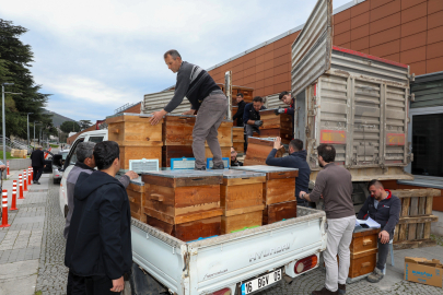 Arıcılık Bursa'da büyükşehir ile canlandı