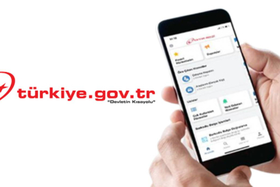 E-devlet görünümlü site üzerinden milyonluk vurgun