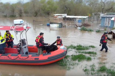 Selde mahsur kalan iki köpeği belediye ekipleri kurtardı
