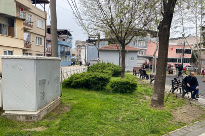 Parkta toplanan zehirli zakkum bir çocuğu zehirliyordu