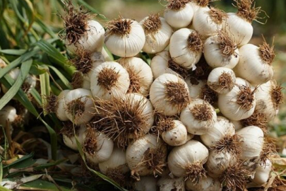 Bursa’da haksız fiyat listesi açıklandı: 60 liraya aldılar, 220 liraya sattılar!