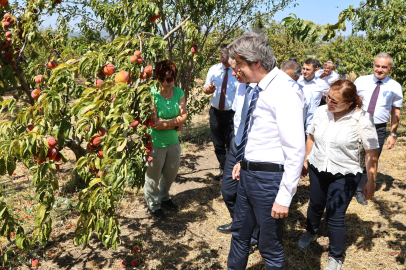 BUÜ ziraat ve ormancılık alanında dünyada ilk 500’de