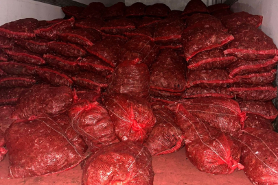Bursa ve Balıkesir’de eş zamanlı operasyon: Tonlarca midye ele geçirildi