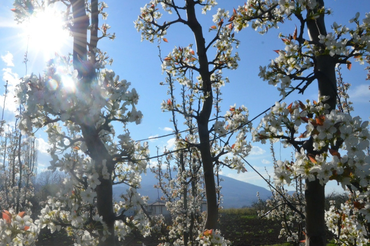 Bursa'da kartpostallık görüntüler