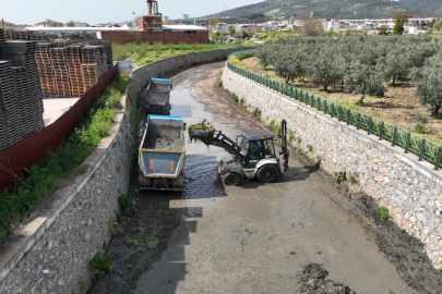 Bursa'nın derelerinde temizlik seferberliği