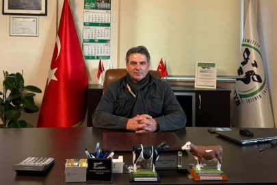 Bursa'da meclis üyesine kadına şiddetten ev hapsi