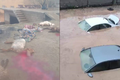 Ülkenin doğusu sele teslim