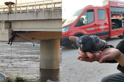 Bursa'da güvercin kurtarma operasyonu