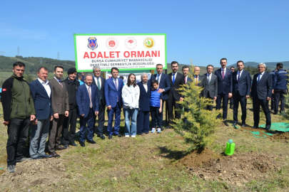 Bursa'da şehidin adı hatıra ormanında yaşayacak