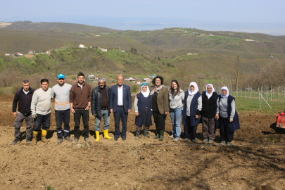 Nilüfer'de atıl araziler bereketleniyor