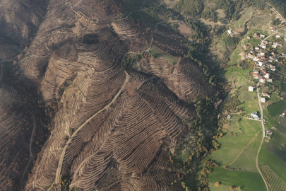 Bursa tarihinin en büyük orman yangınında yaralar sarıldı