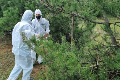 Bursada doğanın sessiz kahramanları görev başında