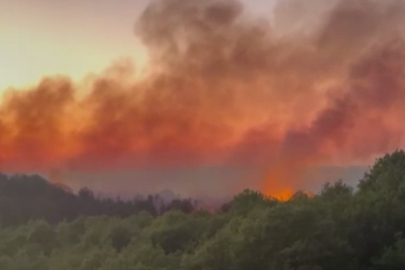 Yaz gelmeden yangınlar başladı! Beykoz'da 3 hektarlık orman küle döndü