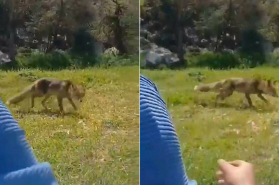 Bursa’da şaşırtan görüntü!