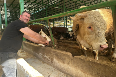 Bursa'da kurban hareketliliği: Tonluk boğayı 400 bin liraya sattı