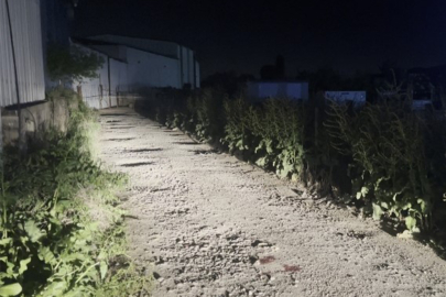 Kadın avukat ablası adına açtığı davayı geri çekmediği için öldürülmüş