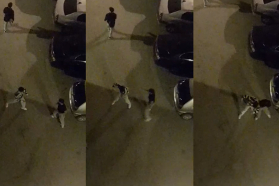 Bursa'da sokağı ringe çevirdiler!