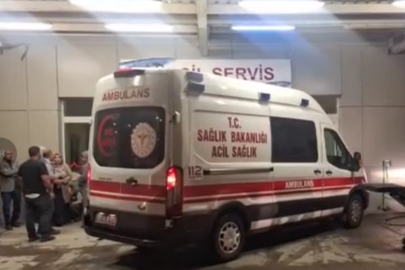 Şanlıurfa’da üvey kardeşler arasında arazi kavgası: 2 ölü