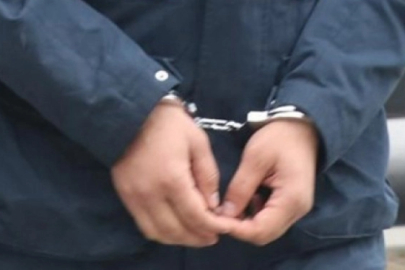İBB Ağaç ve Peyzaj A.Ş., operasyonunda 12 kişi tutuklandı