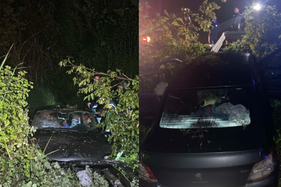 Bursa'da otomobil tarlaya uçtu