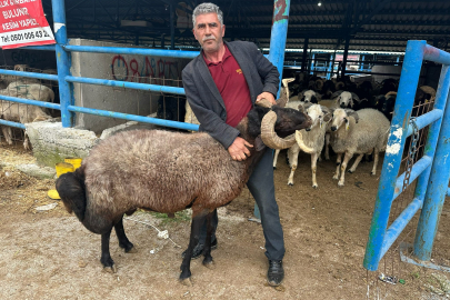 Bursa'da kurbanlık pazarları hareketlendi