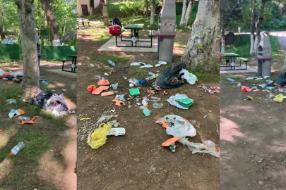 Bursa'da mesire alanı bir günde çöplüğe döndü