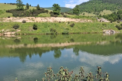 Bursa'da arkadaşlarıyla girdiği gölette can verdi