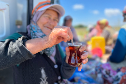 Tarım işçilerinin en büyük zevki çay!