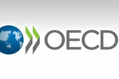 OECD raporu: Türkiye için büyüme ve enflasyon beklentileri belli oldu
