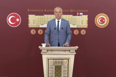 CHP'li Pala: 'Türkiye çevre alanında 143. sırada'
